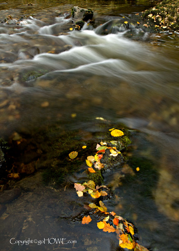 Stream and autumn leaves, Ullswater, Lake District