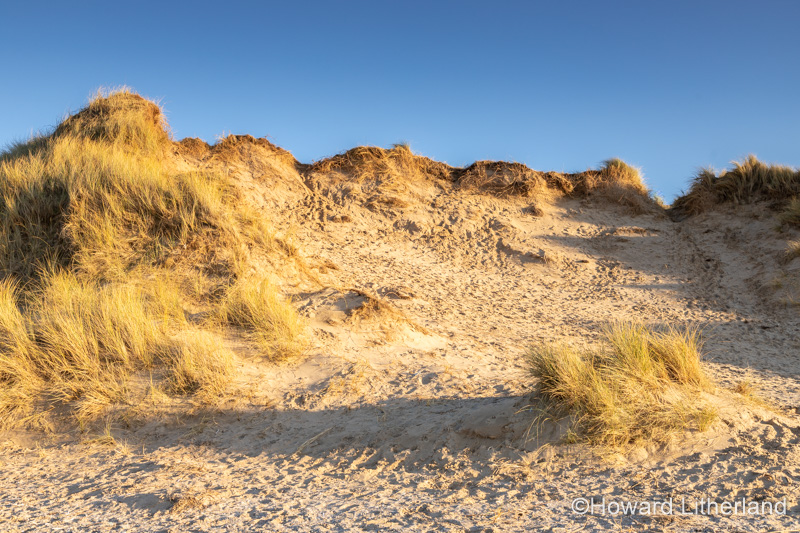 Sand dunes at Talacre beach on the North Wales coast
