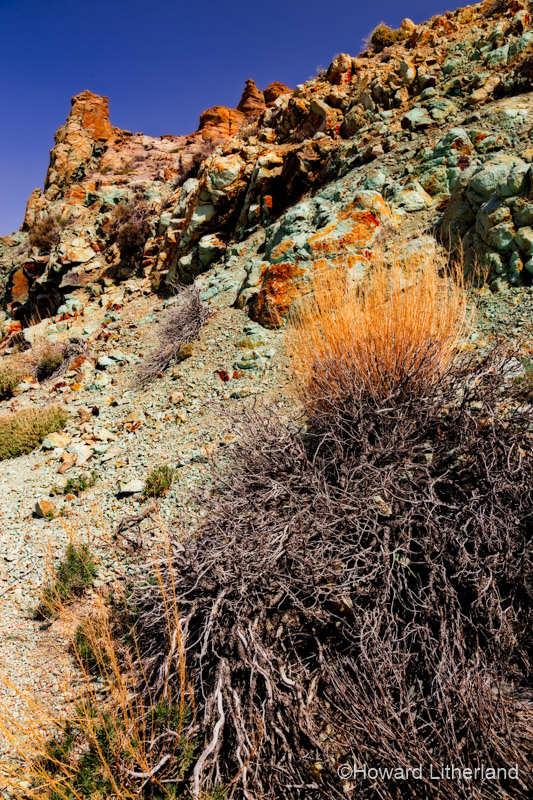Turquoise coloured volcanic rock in the Teide National Park on Tenerife in the Canary Islands