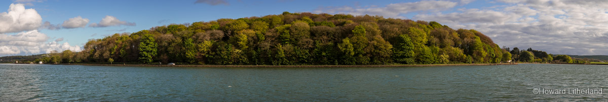 Panoramic image of woods by the side of the Atlantic coast near Timoleague, County Cork, Ireland