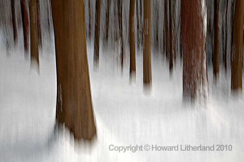 Trees in snow with motion blur