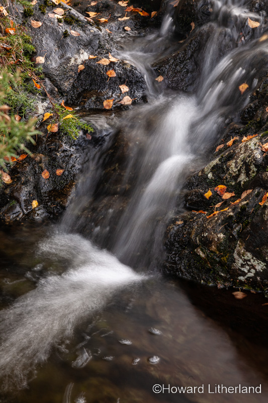 Small waterfall with colouful autumnal leaves