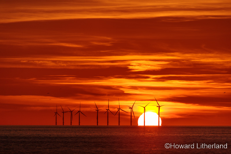 Sunset over Gwynt-y-Môr offshore wind farm, North Wales coast