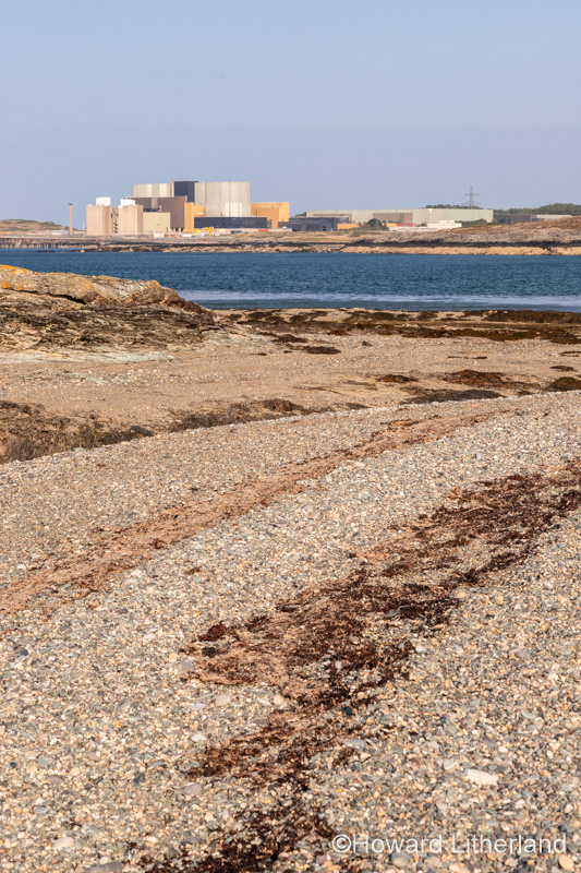 Wylfa magnox nuclear power plant, Anglesey, North Wales